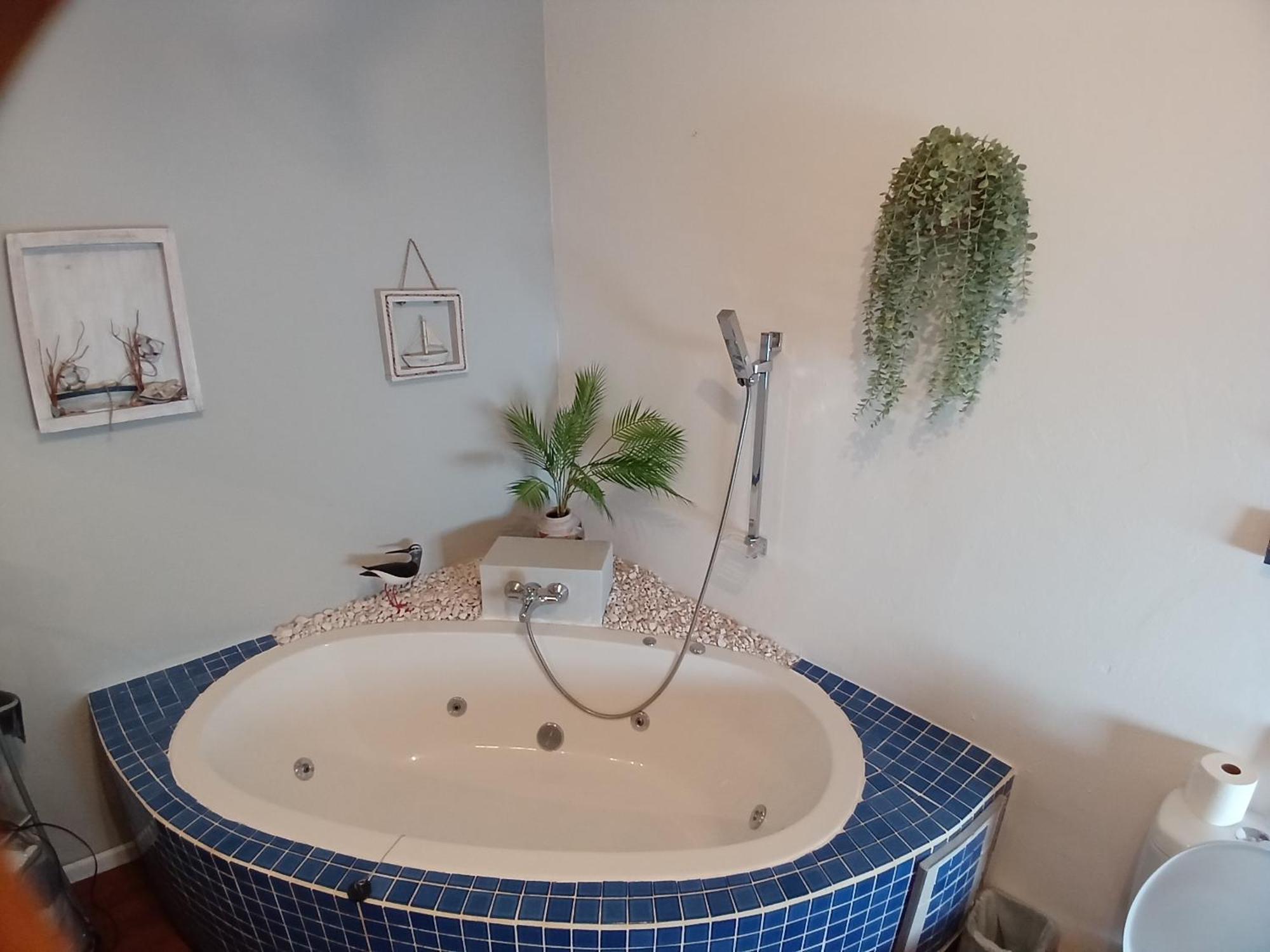 Ons Stee Bed And Breakfast Wellington Dış mekan fotoğraf